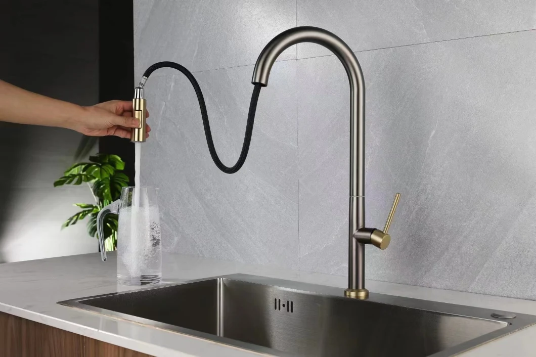 Solid Brass Pull-out Kitchen Sink Faucet