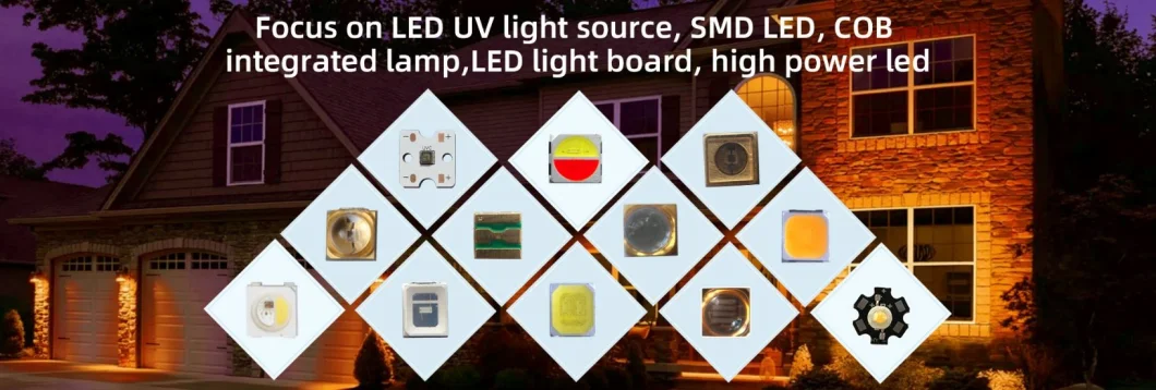 99.99% High-Efficiency Bacteriostasis UV UVC LED Tube Lamp DC12V 250nm 254nm 255nm 270nm 275nm 285nm 265nm Disinfection