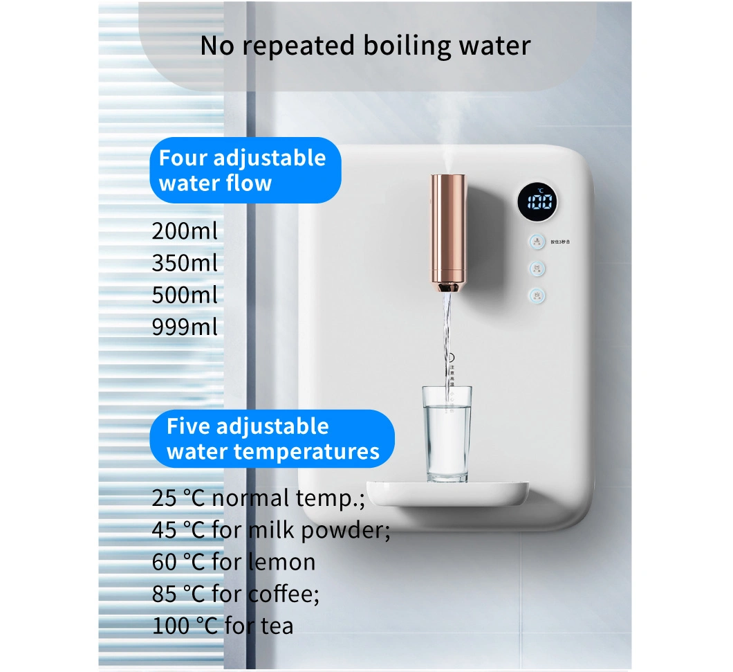 Leasy Wall-Mounted Instant Heating Hot/Warm Water Air Humidifier Pipeline Water Dispenser
