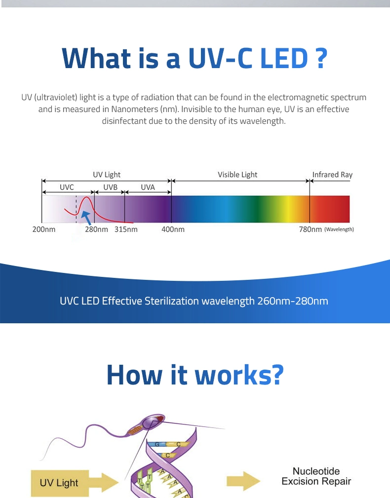 UVC LED Disinfection Model 2L-3L Water Filter Purifier Modern Smart Health Model